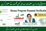 SMS to Ehsaas Programme Code 8171 Made Free
