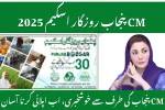 CM Punjab Rozgar Scheme 2025