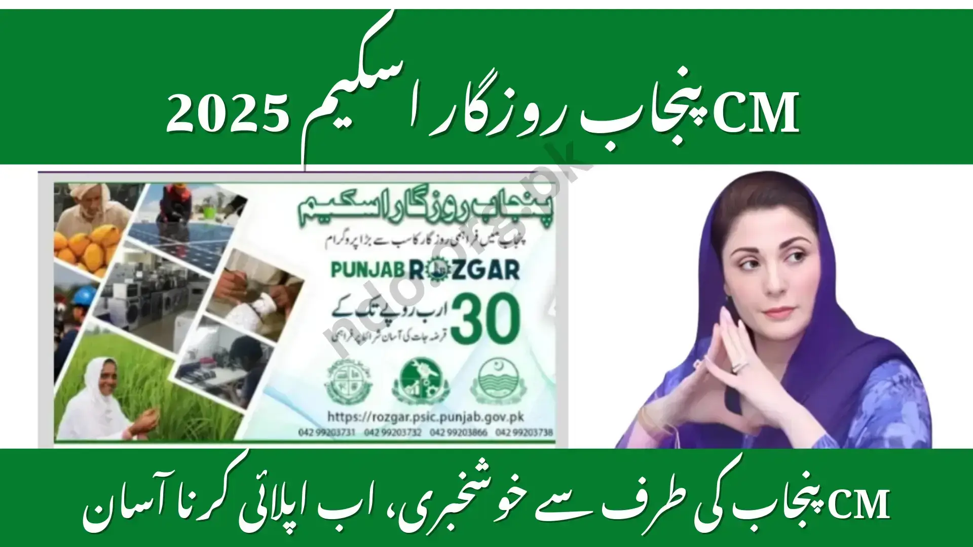 CM Punjab Rozgar Scheme 2025