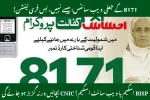 Fake BISP 8171 Websites Alert 2025