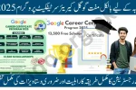 Google Career Certificate Program 2025