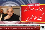 PM Shehbaz Sharif Flood Recovery Drive