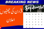 Pakistan May Get a 3-Day Holiday in September 2025