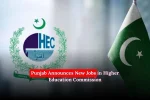 Punjab Announces New Jobs in Higher Education Commission