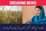 Punjab Crop Insurance Scheme