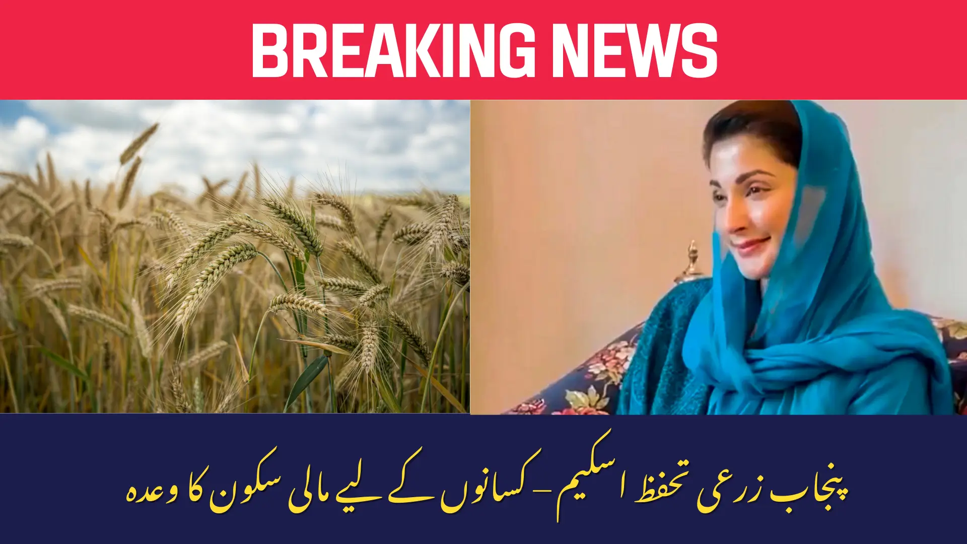 Punjab Crop Insurance Scheme