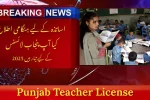Punjab Teacher License