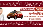 Apply for Punjab Green E-Taxi Scheme 2025