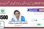 BISP 8171 Portal Missing Payment 2025 Is Now Distributing to New Beneficiaries