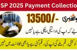 BISP Ehsaas Kafalat Payment Collection Channels