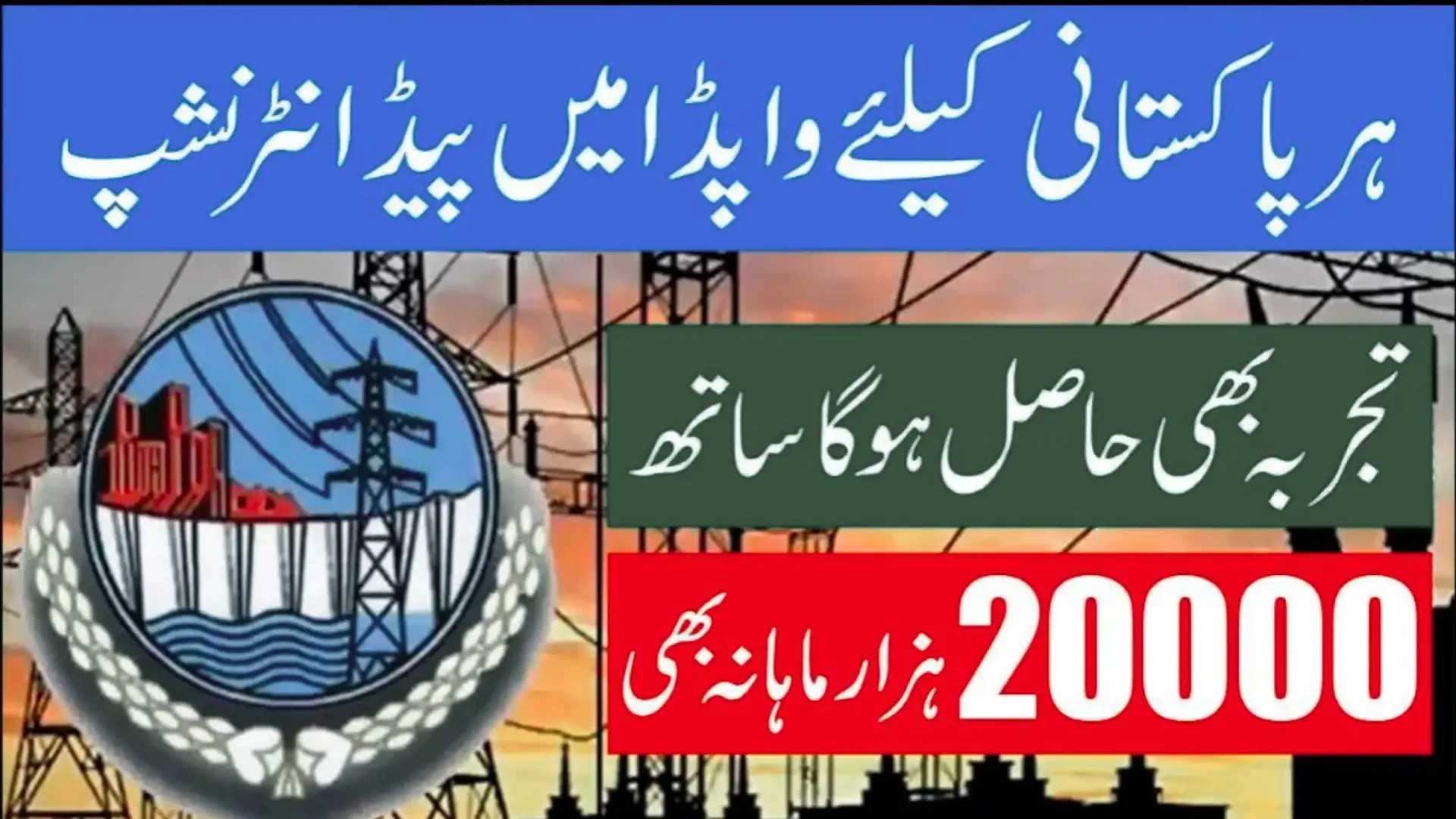 WAPDA Internship Program 2025