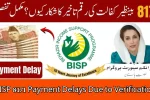 BISP 8171 November Payment Delays Due to Verification 2025
