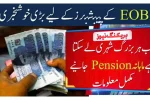 EOBI Pension for Old Citizens