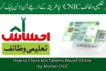How to Check 8171 Taleemi Wazaif Online by Mother CNIC?