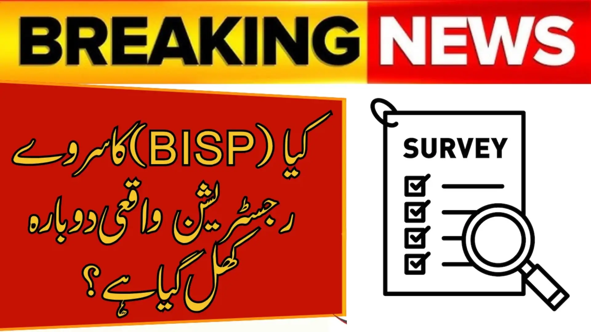 Is BISP Survey Registration 2025 Really Open Again?