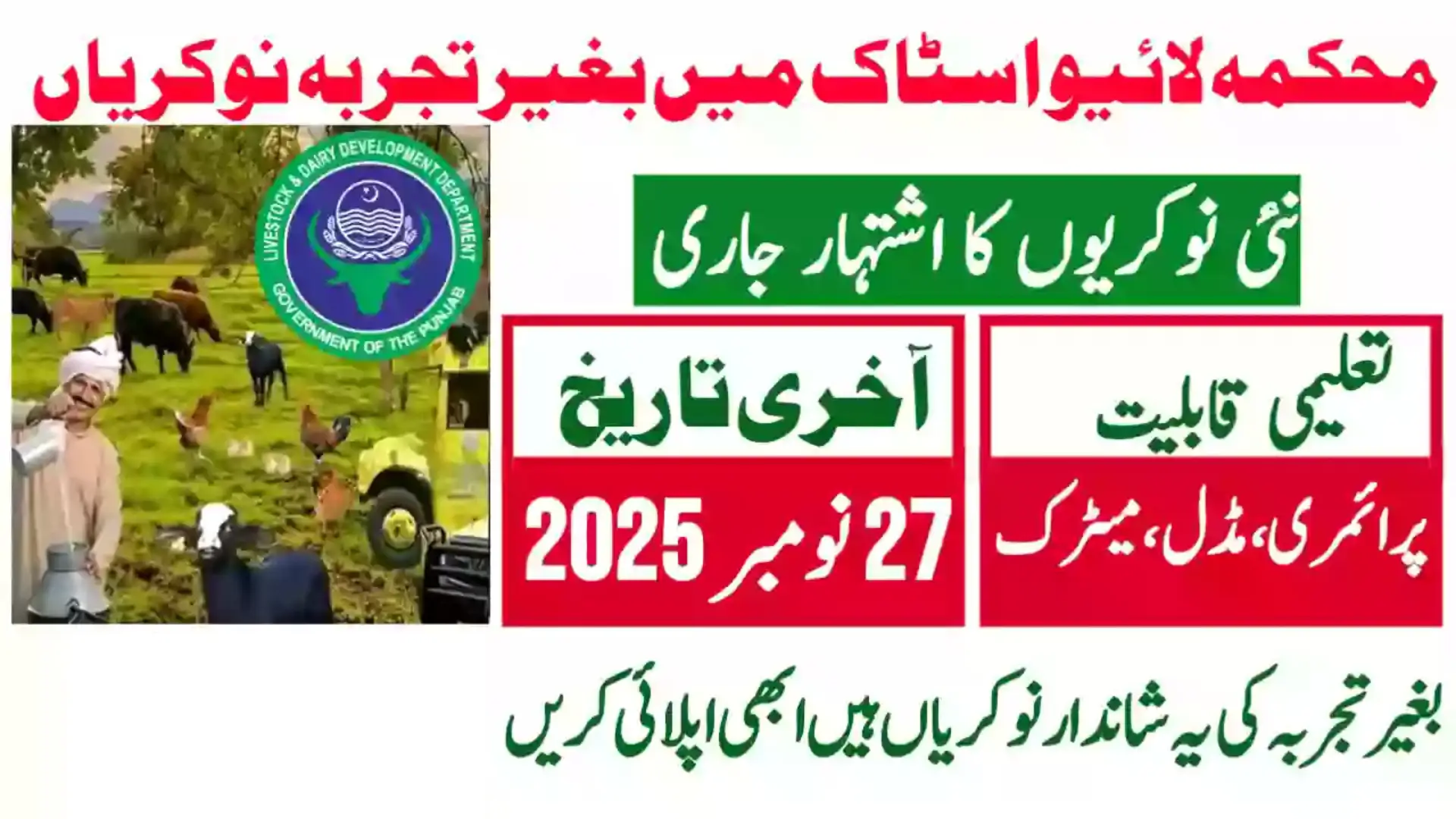 Livestock Jobs Punjab Government New Vacancies