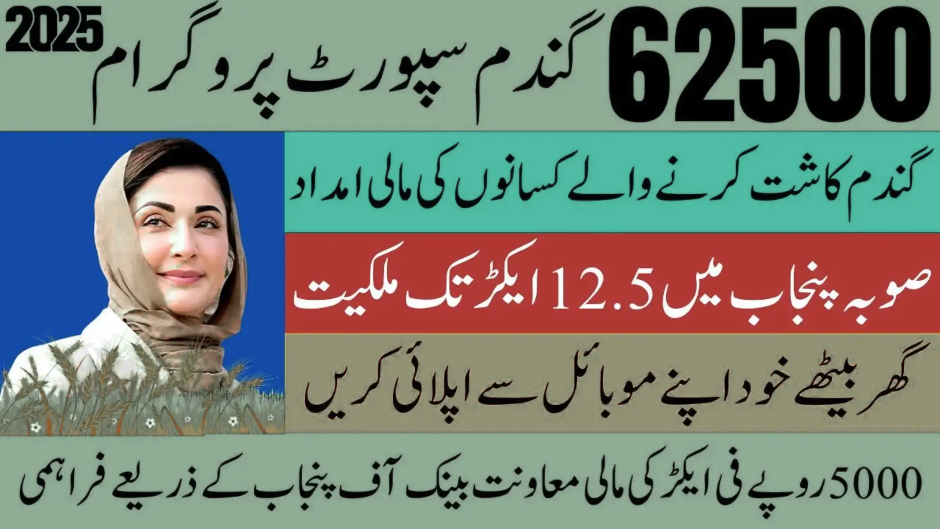 Punjab Chief Minister Orders Wheat Cultivation on All Government-Owned Land