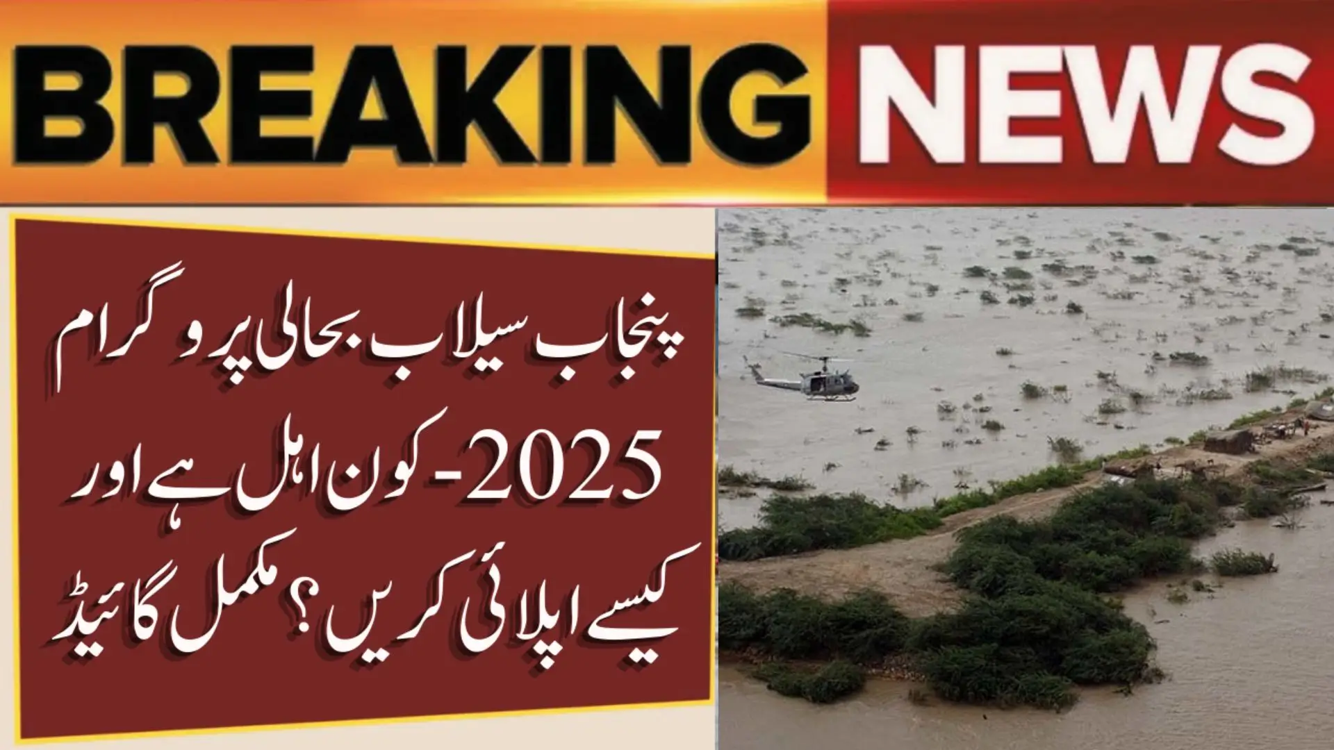 Punjab Sailab Rehabilitation Program 2025 Registration Guide