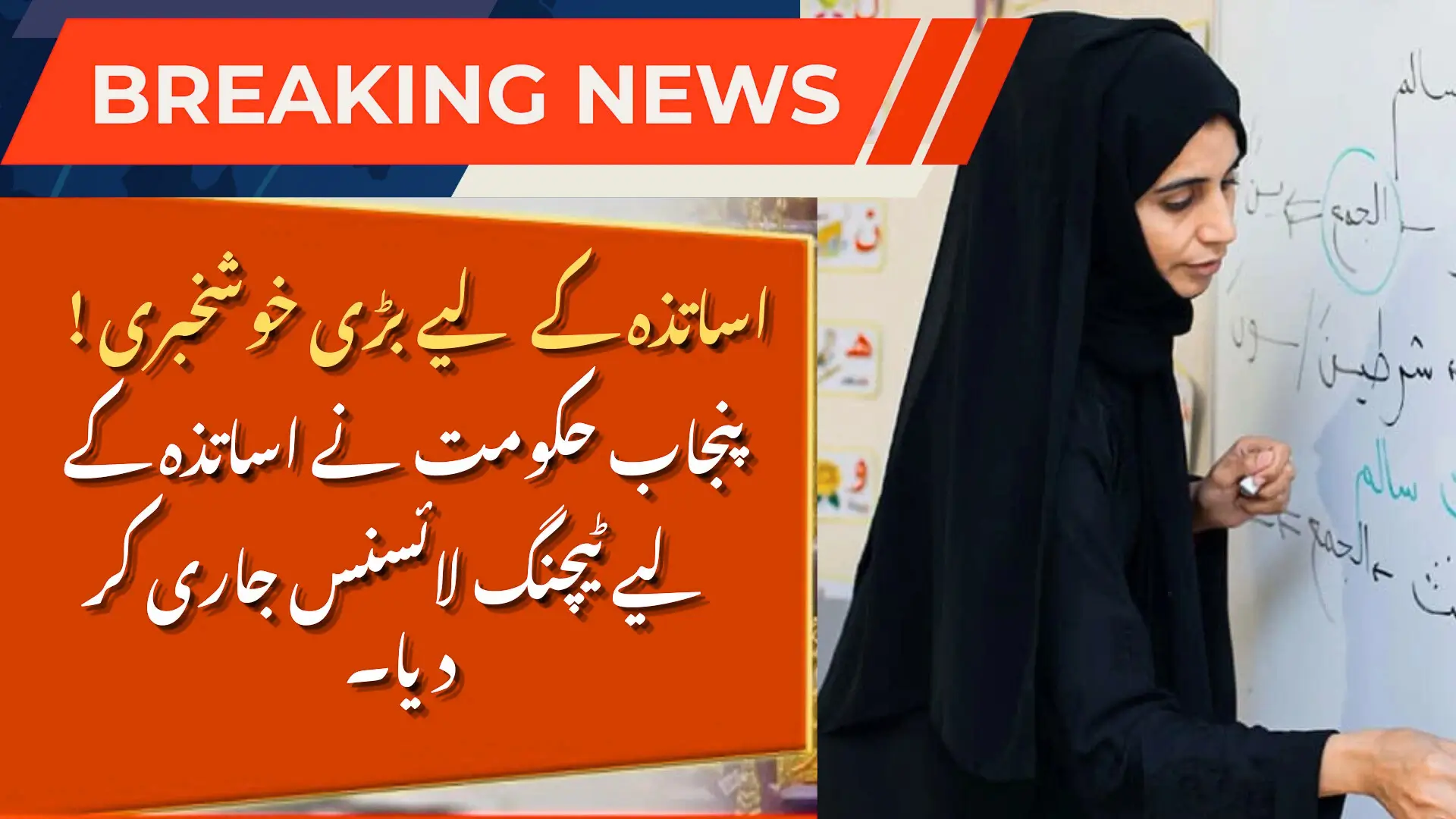 Punjab Teaching License