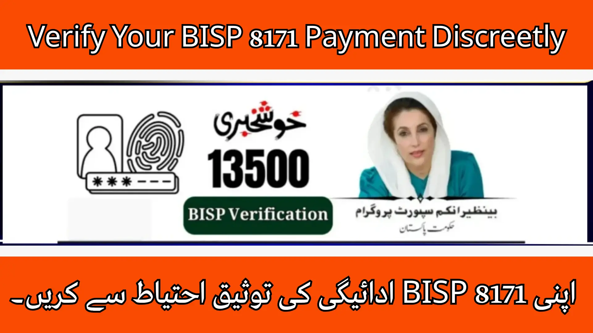 Verify Your BISP 8171 Payment Discreetly