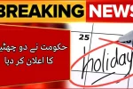 Government Announces Two Public Holidays for Quaid-e-Azam Day 2025 and Post-Christmas Break