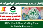 https://silverlining.org.pk/sbps-new-2-hour-cooling-time-for-mobile-payments/